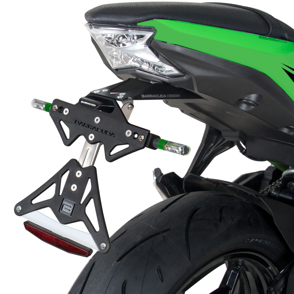 SUPPORT DE PLAQUE NINJA 650