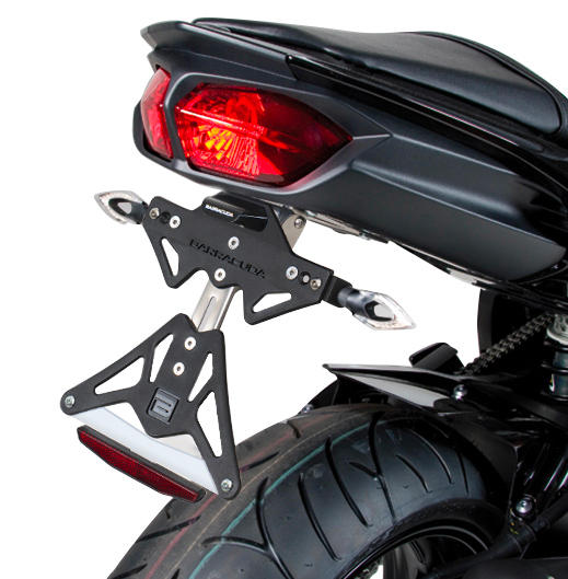 SUPPORT DE PLAQUE YAMAHA FZ8